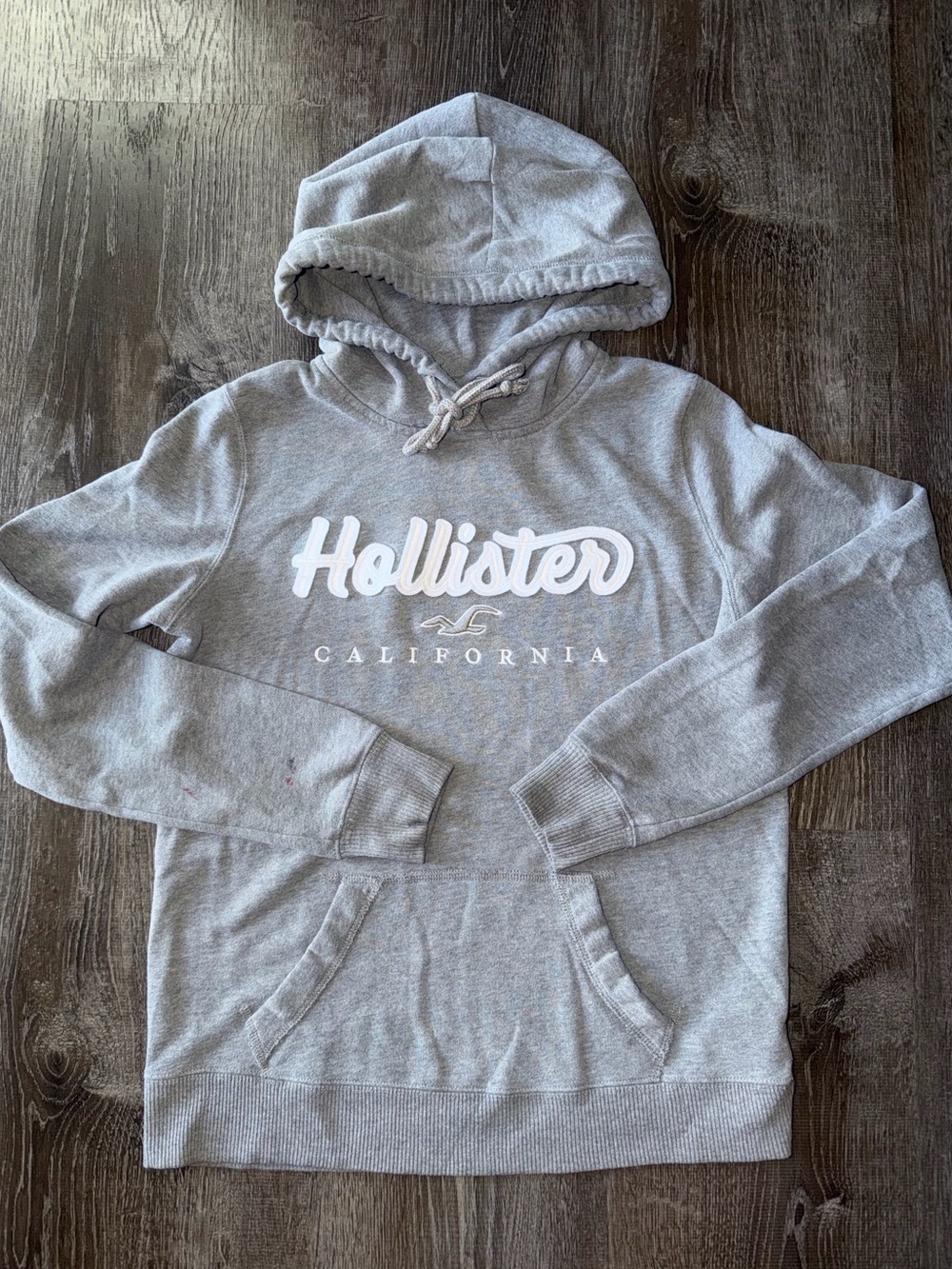 Hollister Hooded Sweatshirt